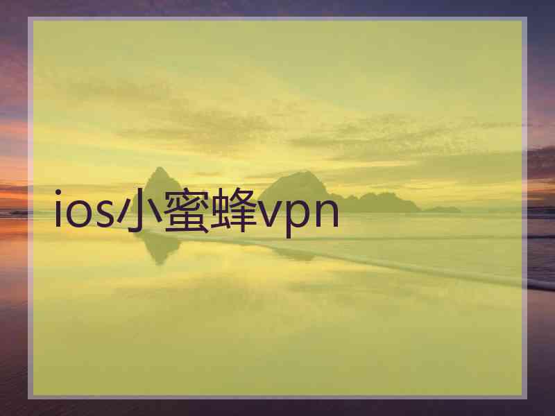 ios小蜜蜂vpn