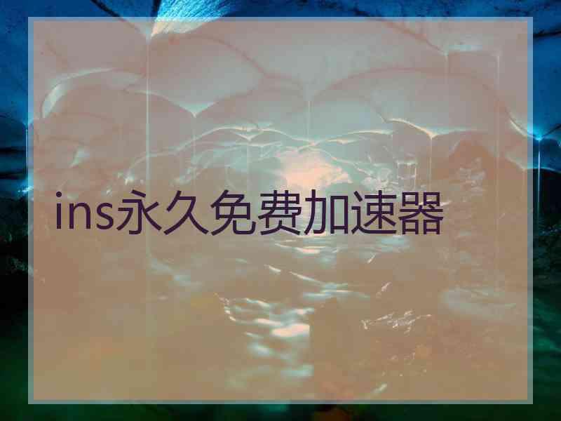 ins永久免费加速器