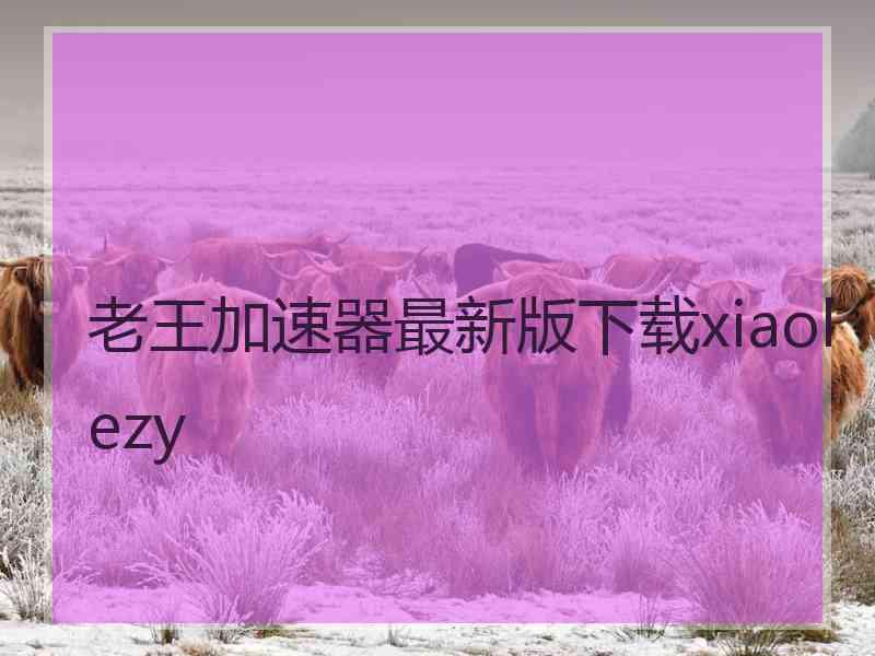 老王加速器最新版下载xiaolezy