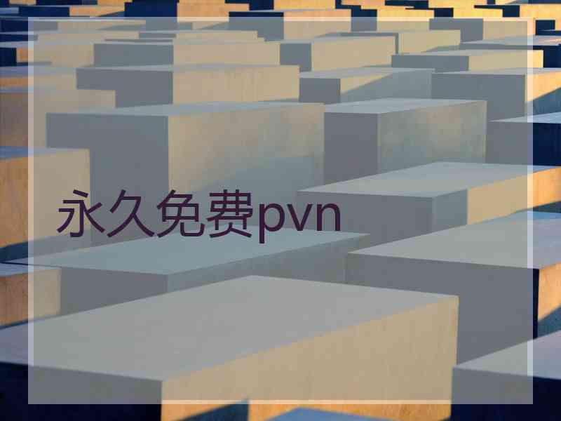 永久免费pvn