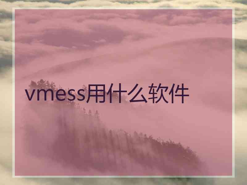 vmess用什么软件