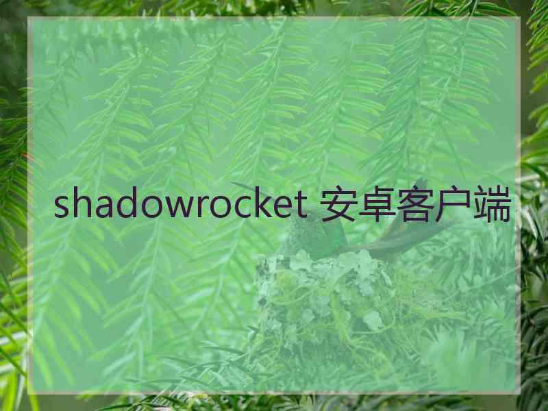 shadowrocket 安卓客户端