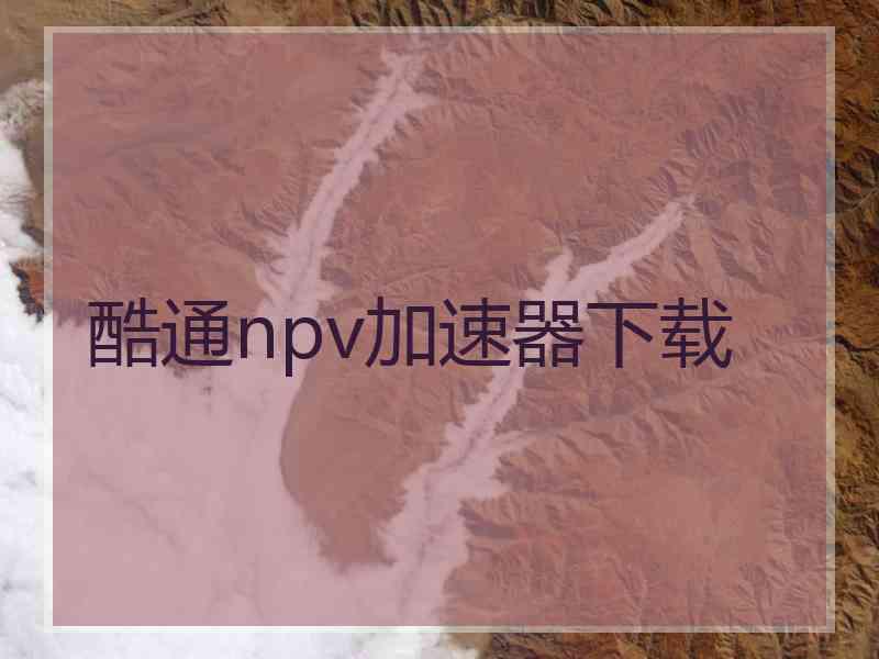 酷通npv加速器下载