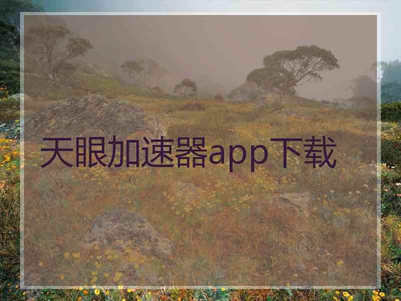 天眼加速器app下载