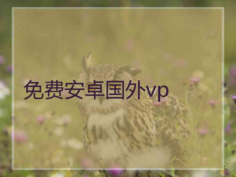 免费安卓国外vp