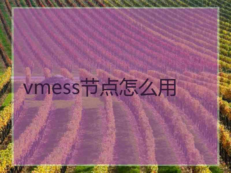 vmess节点怎么用