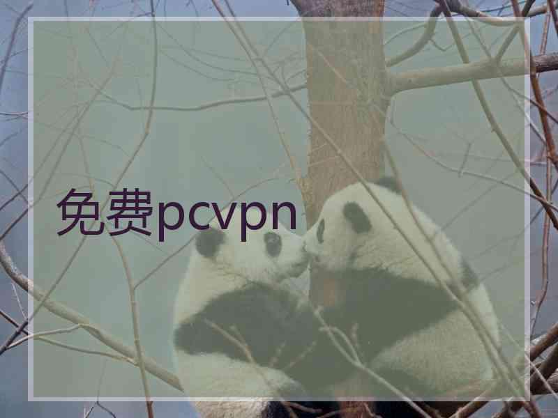 免费pcvpn