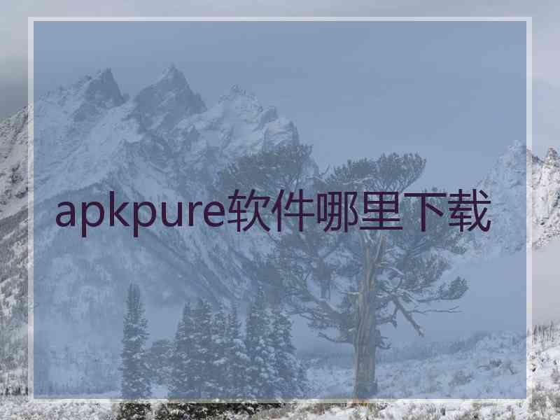 apkpure软件哪里下载