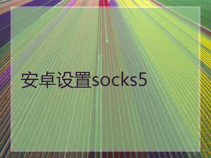 安卓设置socks5