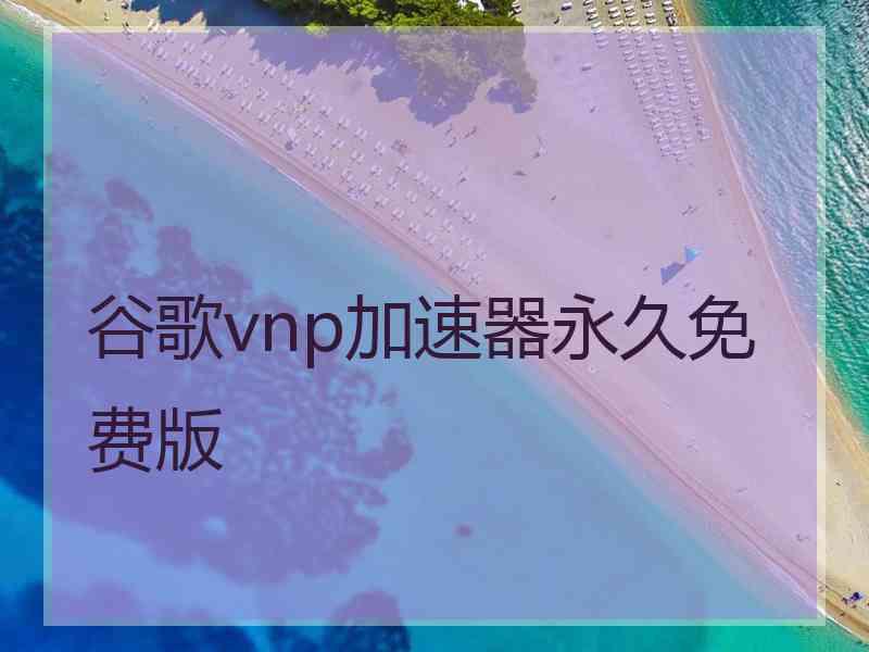 谷歌vnp加速器永久免费版