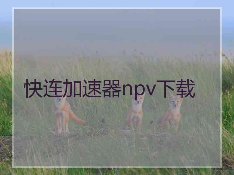 快连加速器npv下载