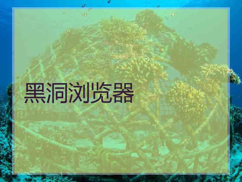 黑洞浏览器