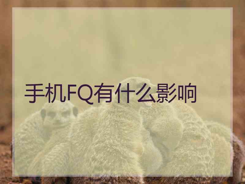 手机FQ有什么影响