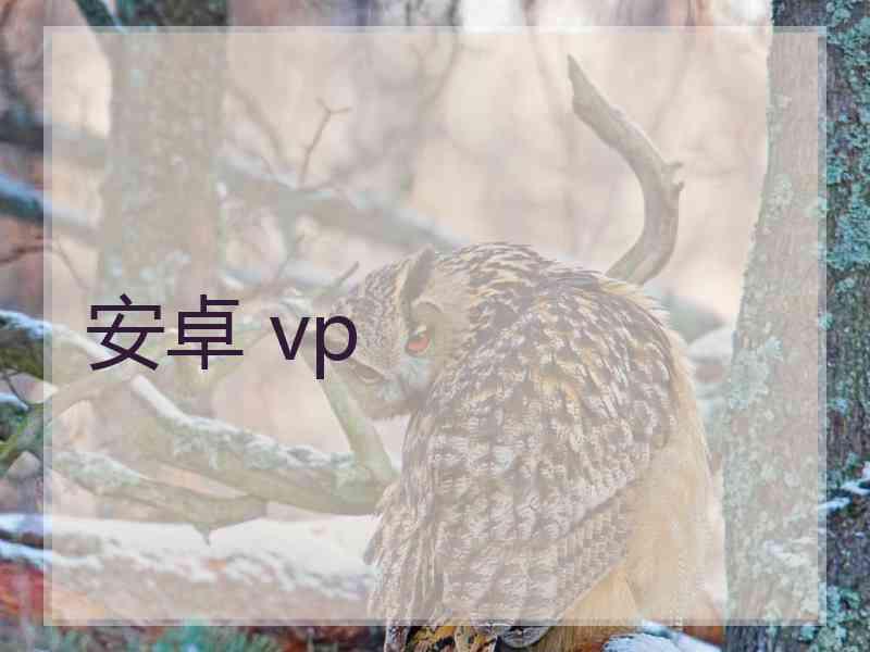 安卓 vp