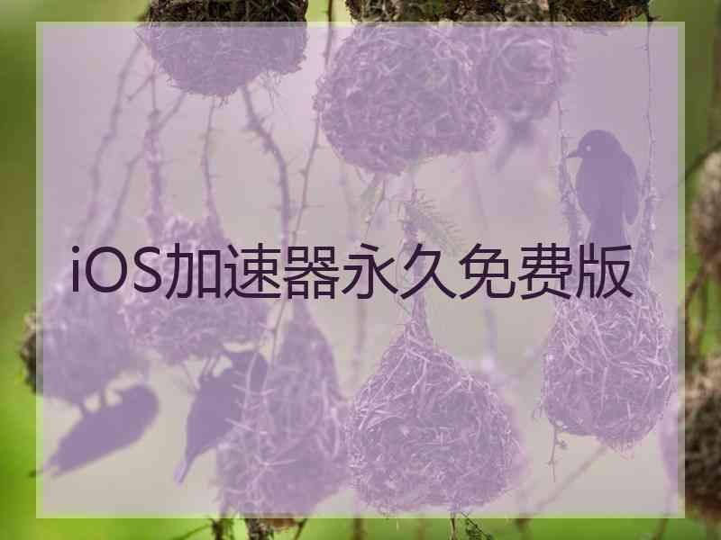 iOS加速器永久免费版