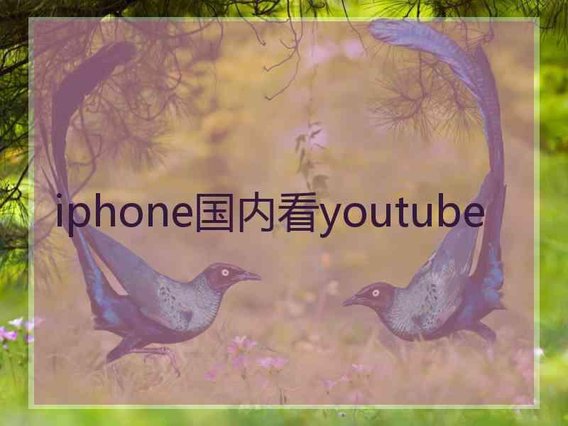 iphone国内看youtube