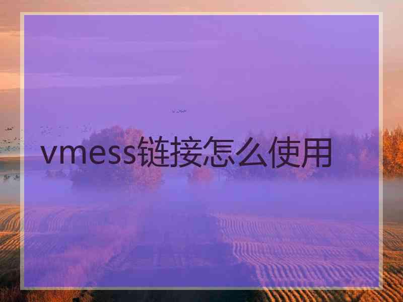 vmess链接怎么使用