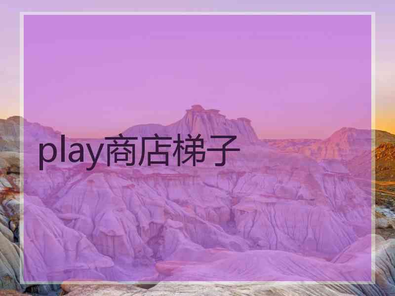 play商店梯子