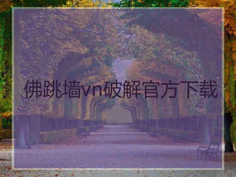 佛跳墙vn破解官方下载