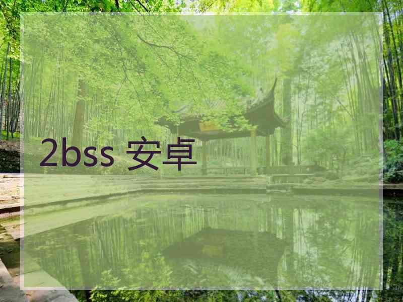 2bss 安卓