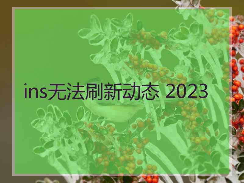 ins无法刷新动态 2023