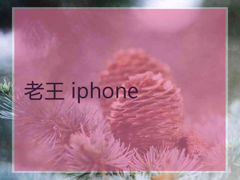 老王 iphone