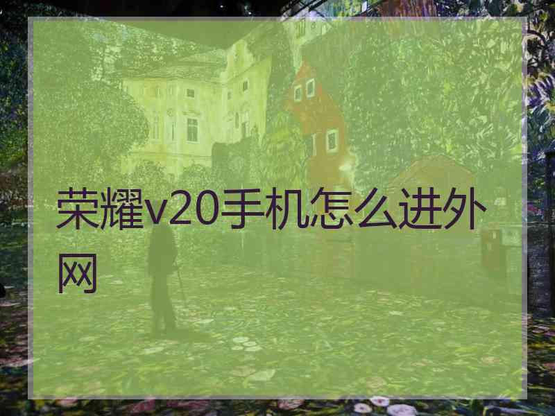 荣耀v20手机怎么进外网