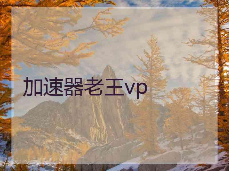 加速器老王vp