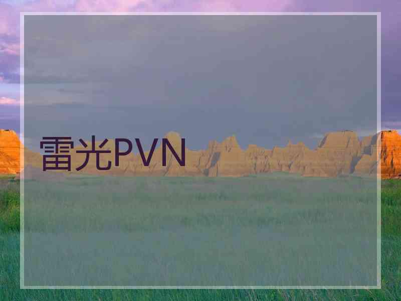 雷光PVN