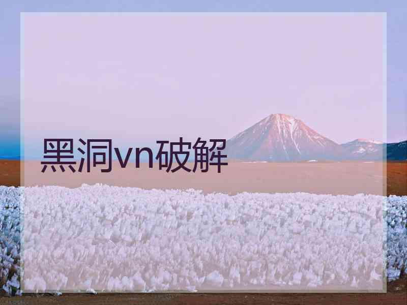 黑洞vn破解