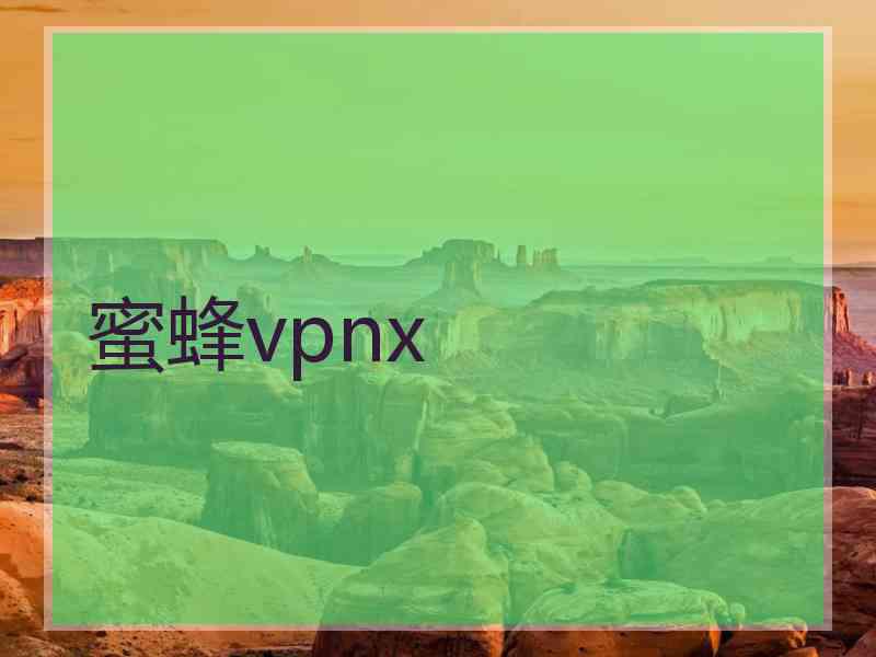 蜜蜂vpnx