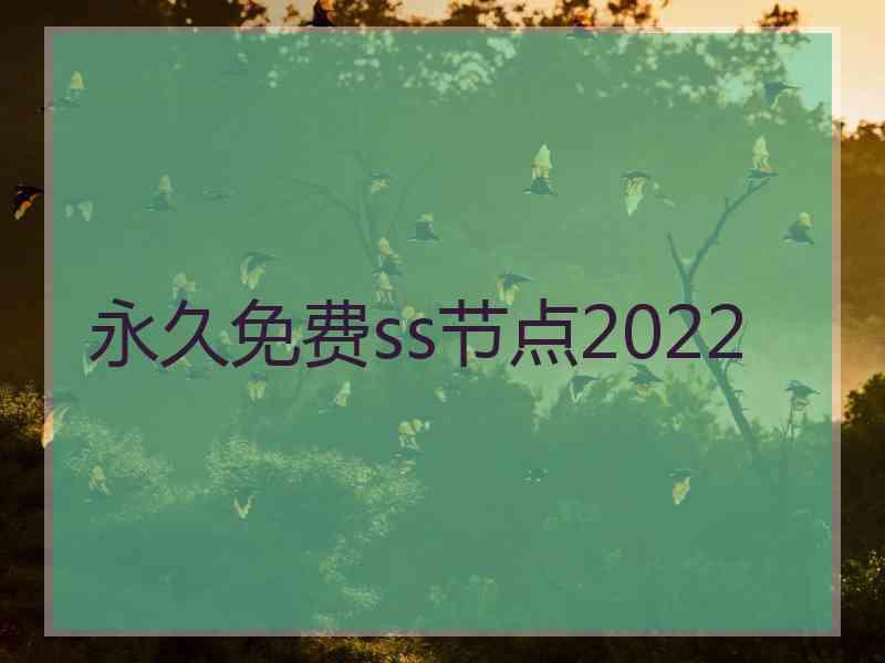 永久免费ss节点2022