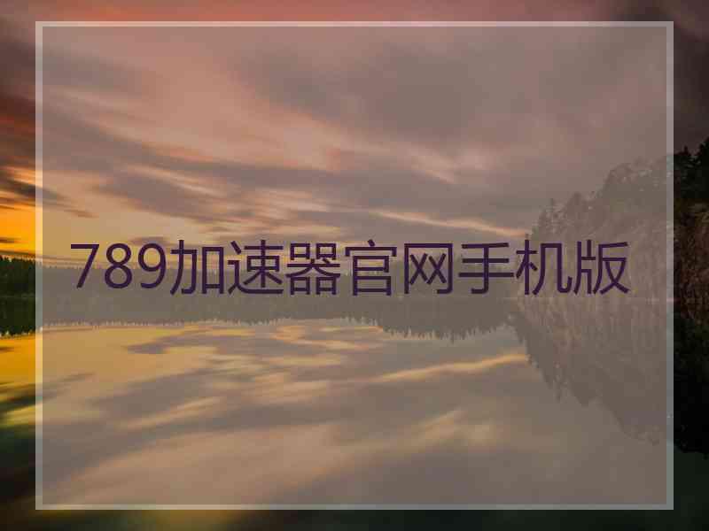 789加速器官网手机版