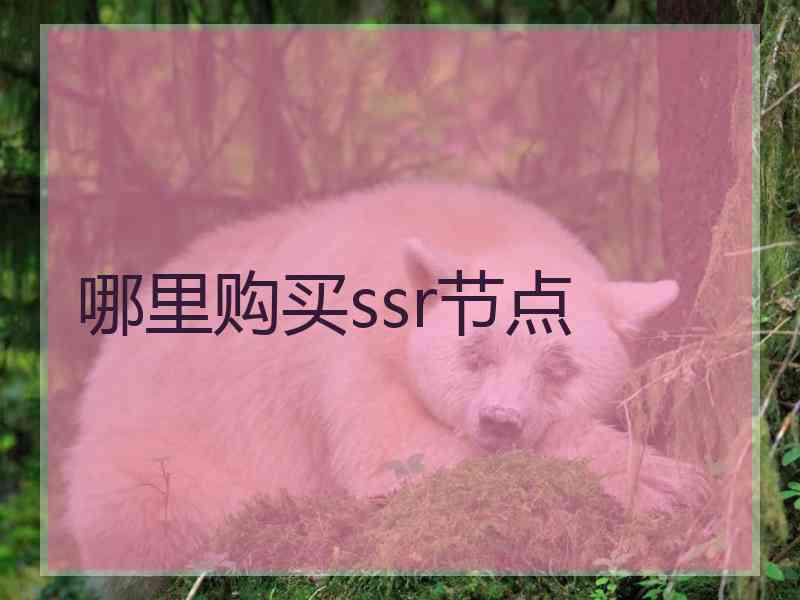 哪里购买ssr节点