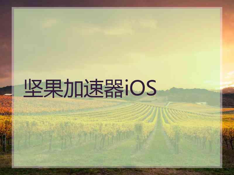 坚果加速器iOS