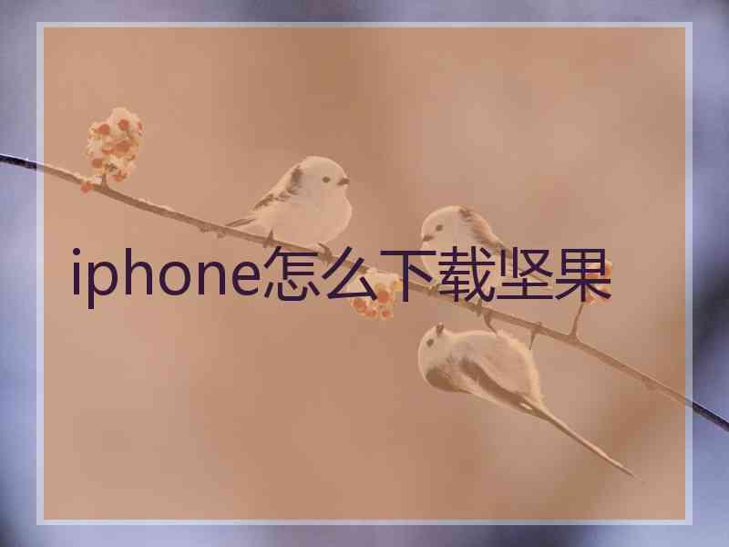 iphone怎么下载坚果