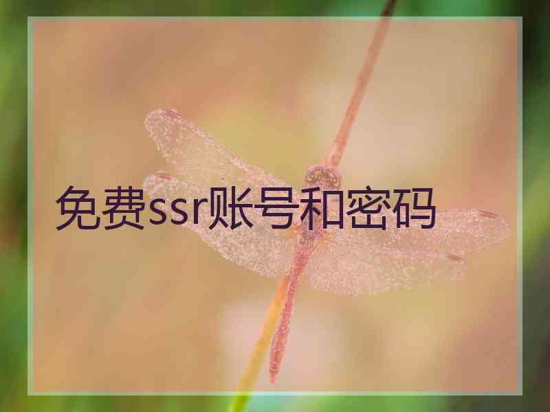 免费ssr账号和密码