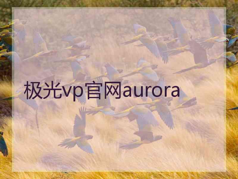 极光vp官网aurora