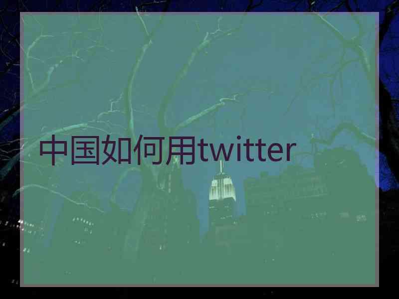 中国如何用twitter