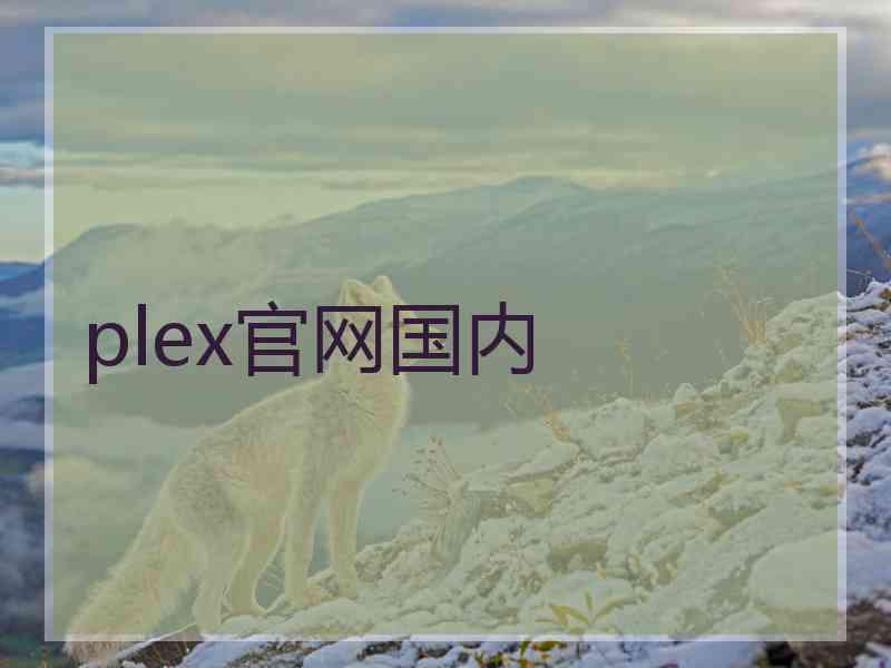 plex官网国内