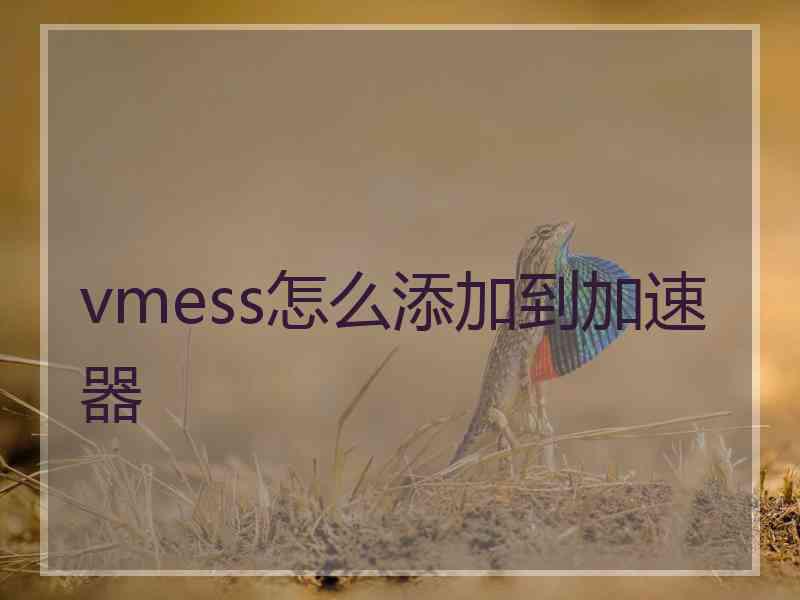 vmess怎么添加到加速器