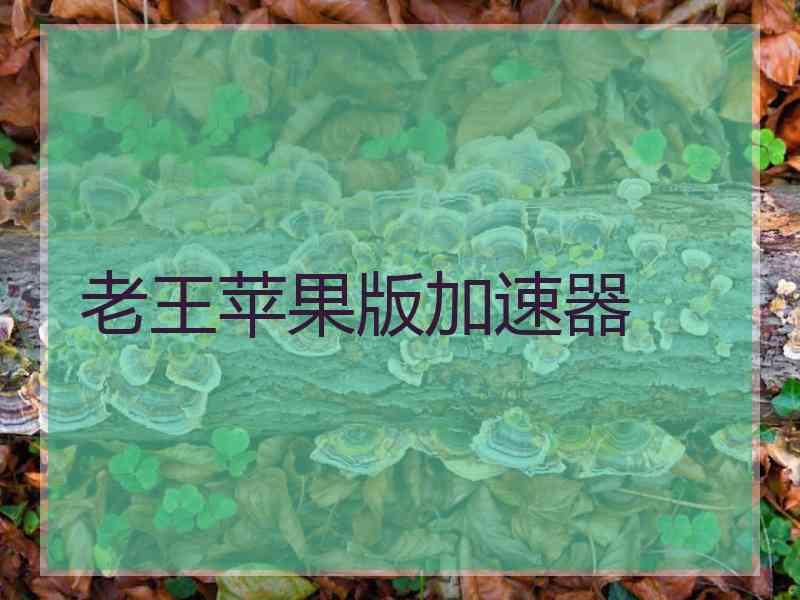 老王苹果版加速器