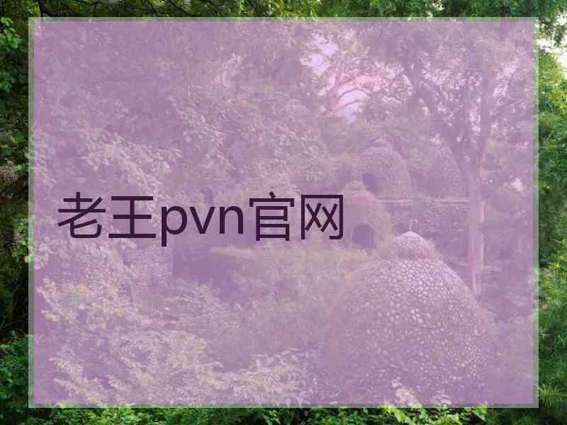 老王pvn官网