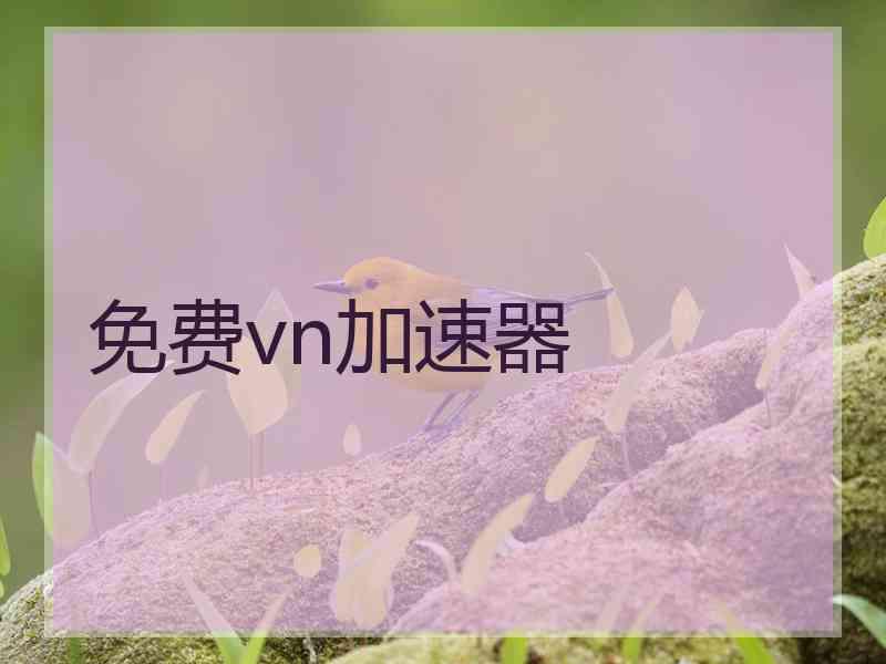 免费vn加速器