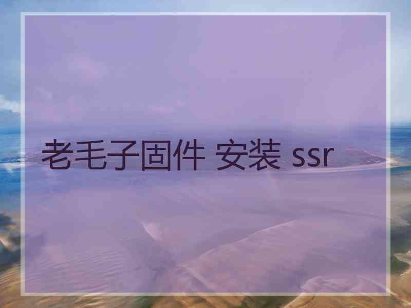 老毛子固件 安装 ssr