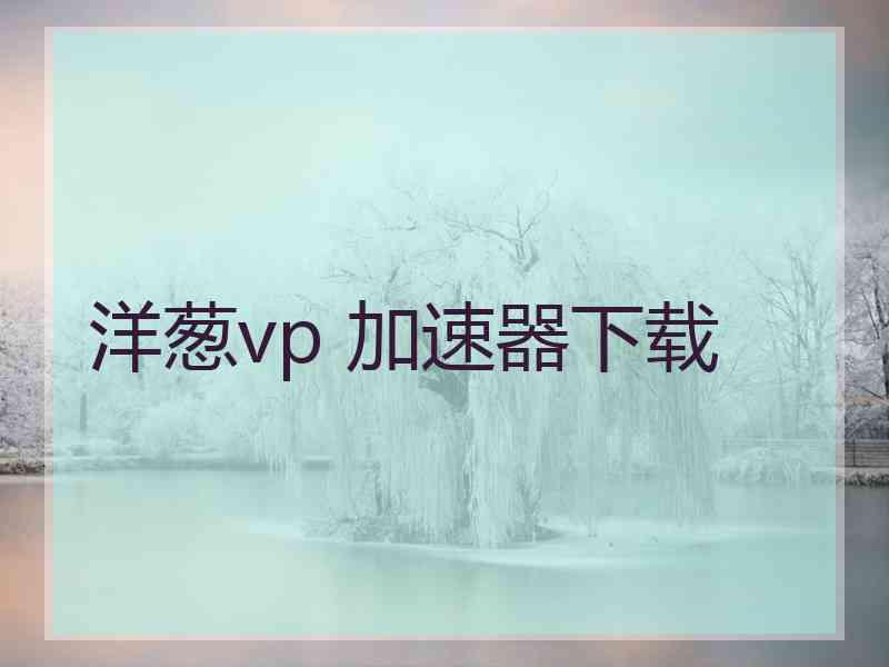 洋葱vp 加速器下载