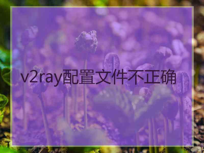 v2ray配置文件不正确