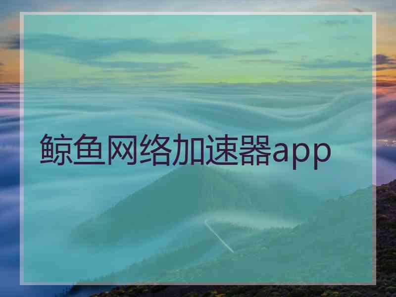 鲸鱼网络加速器app