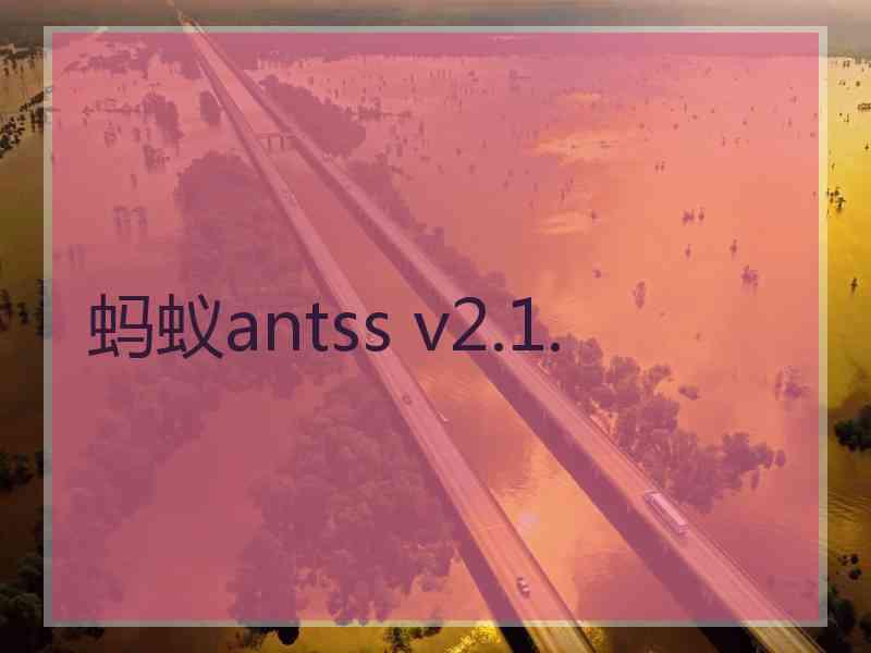 蚂蚁antss v2.1.