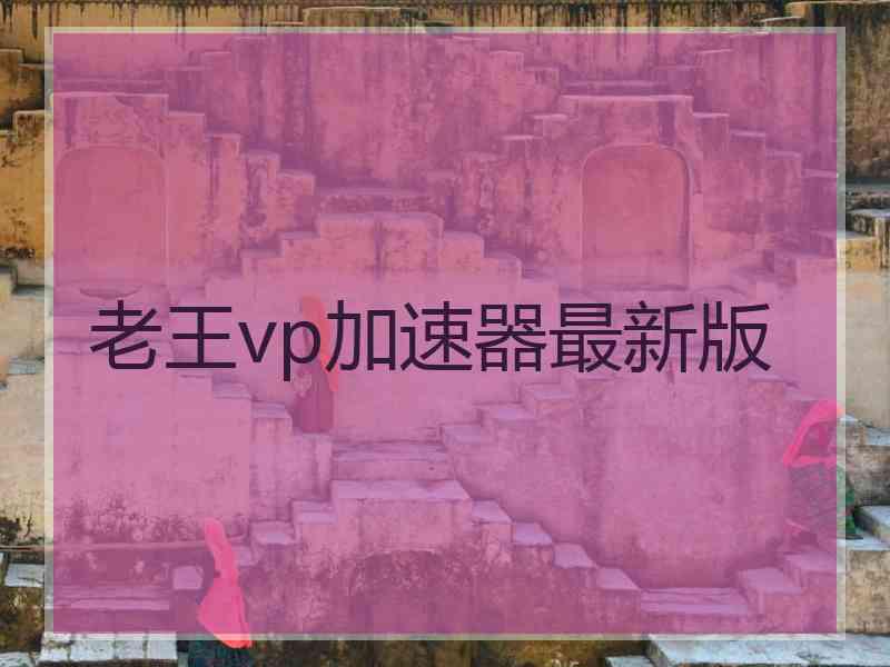 老王vp加速器最新版